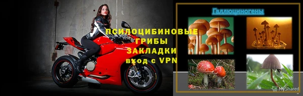 винт Нестеровская