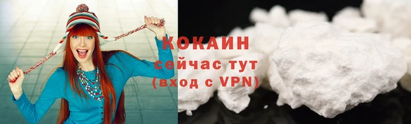 винт Нестеровская