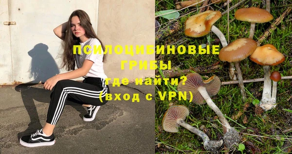 mdpv Фёдоровский