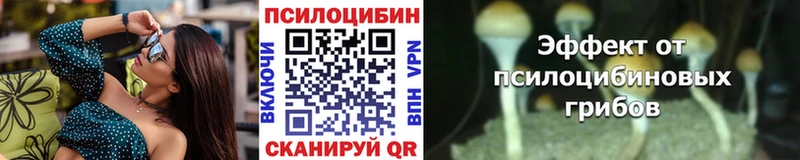 где купить   Пятигорск  Галлюциногенные грибы Magic Shrooms 