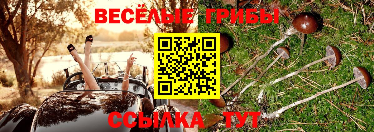 Псилоцибиновые грибы ЛСД  Вход с VPN  Пятигорск  Псилоцибиновые грибы Psilocybe 